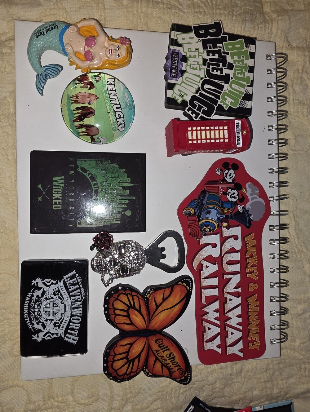Assorted Travel Magnets